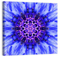 Kaleidoscopic Cornflower Mandala Wall Art