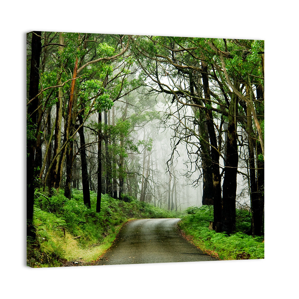 Misty Eucalyptus Road Wall Art
