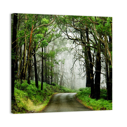 Misty Eucalyptus Road Wall Art