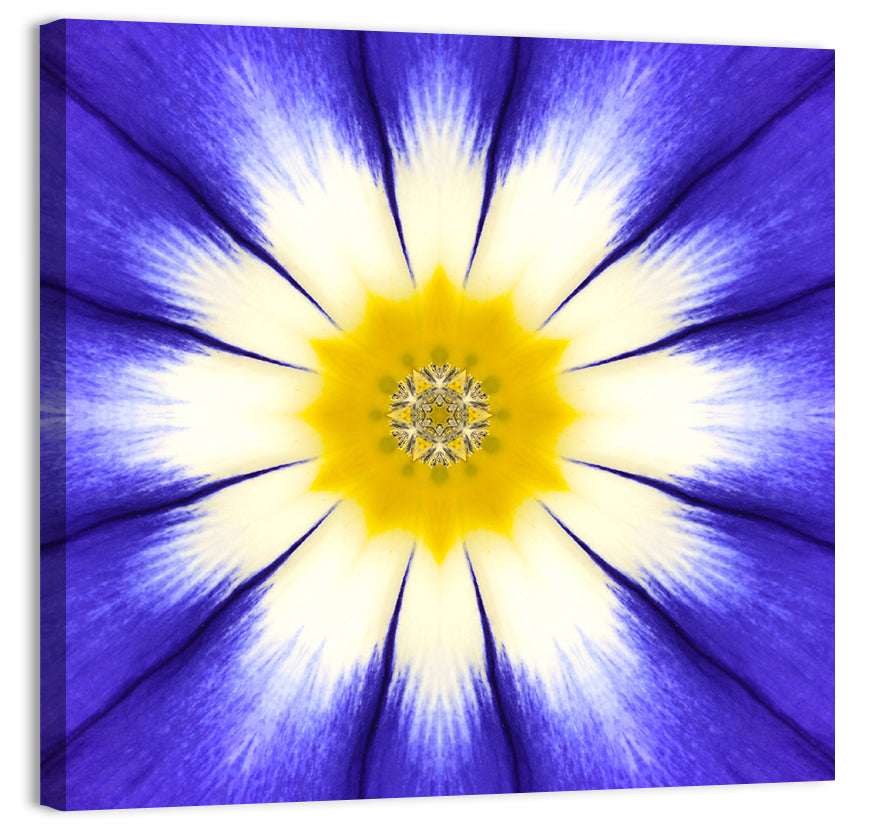 Blue Cornflower Mandala Bloom Wall Art