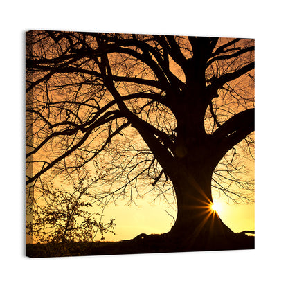 Willow Tree Sunset Wall Art