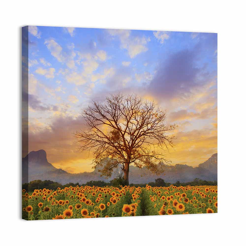 Sunflower Field at Sunset Wall Art