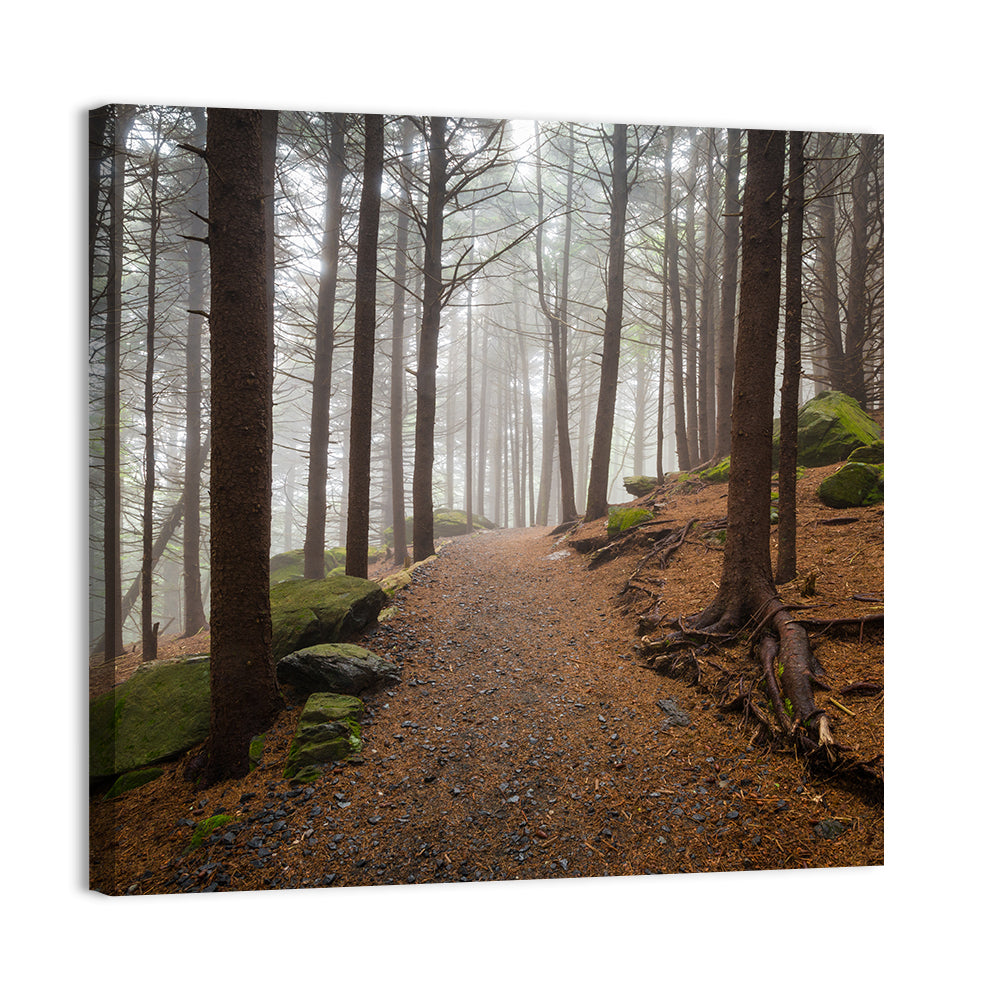 Misty Appalachian Trail Path Wall Art