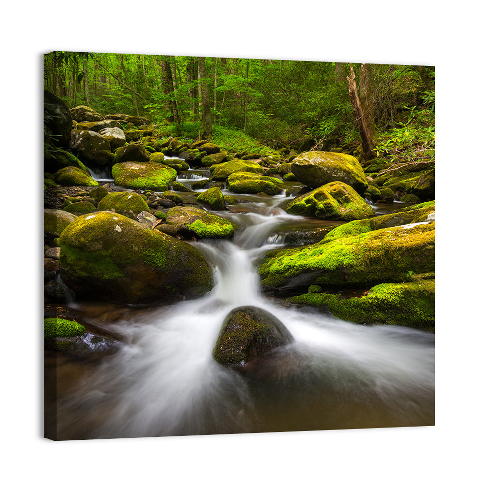Mossy Forest Stream Wall Art