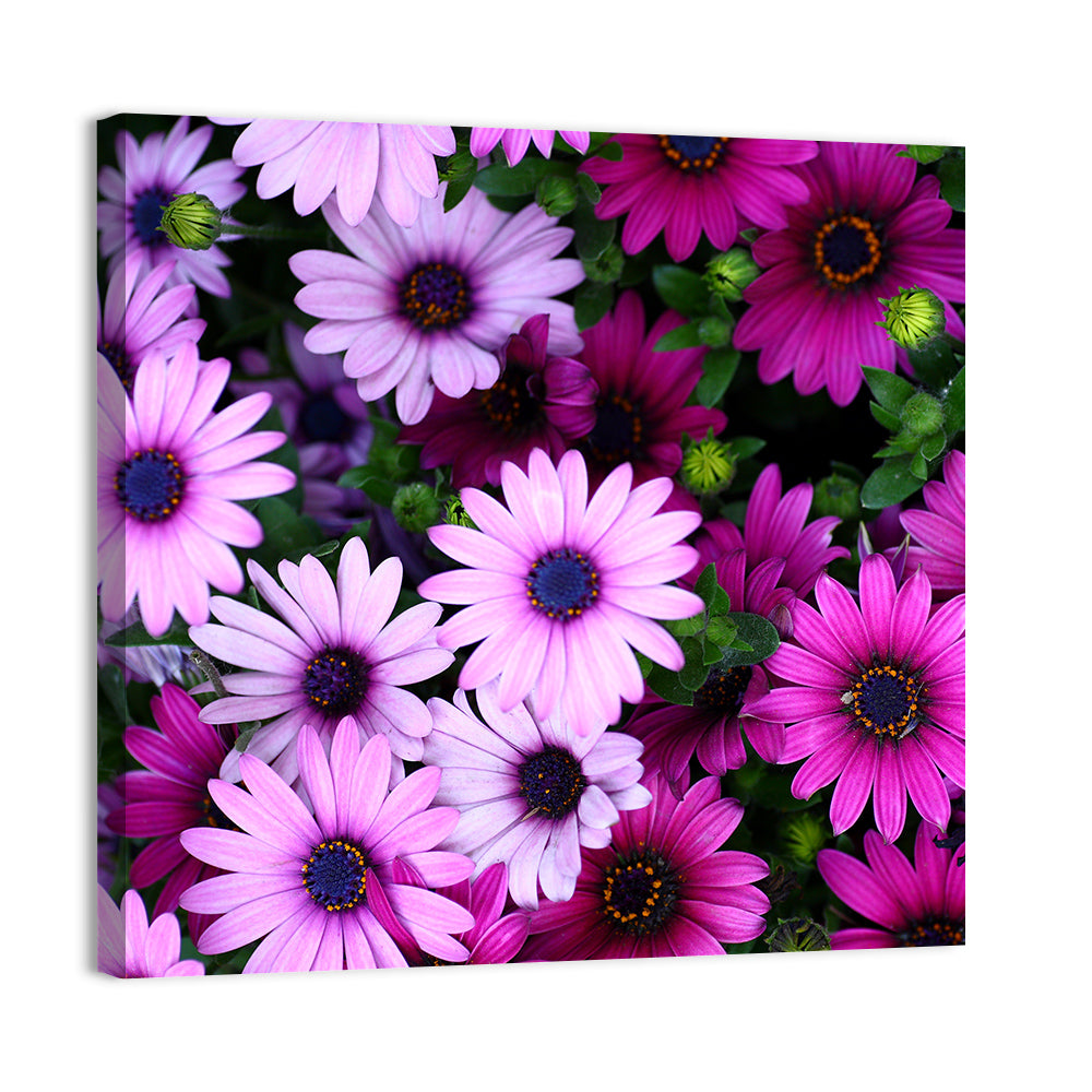 Pink and Purple Daisies Wall Art