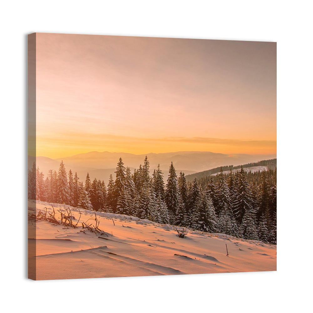 Hoverla Snowfield at Sunset Wall Art