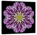 Kaleidoscopic Pink Floral Mandala Wall Art