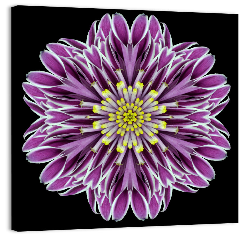 Kaleidoscopic Pink Floral Mandala Wall Art