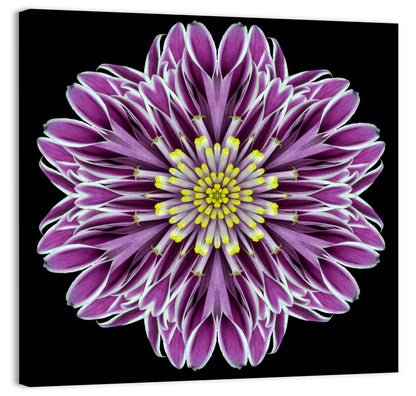 Kaleidoscopic Pink Floral Mandala Wall Art
