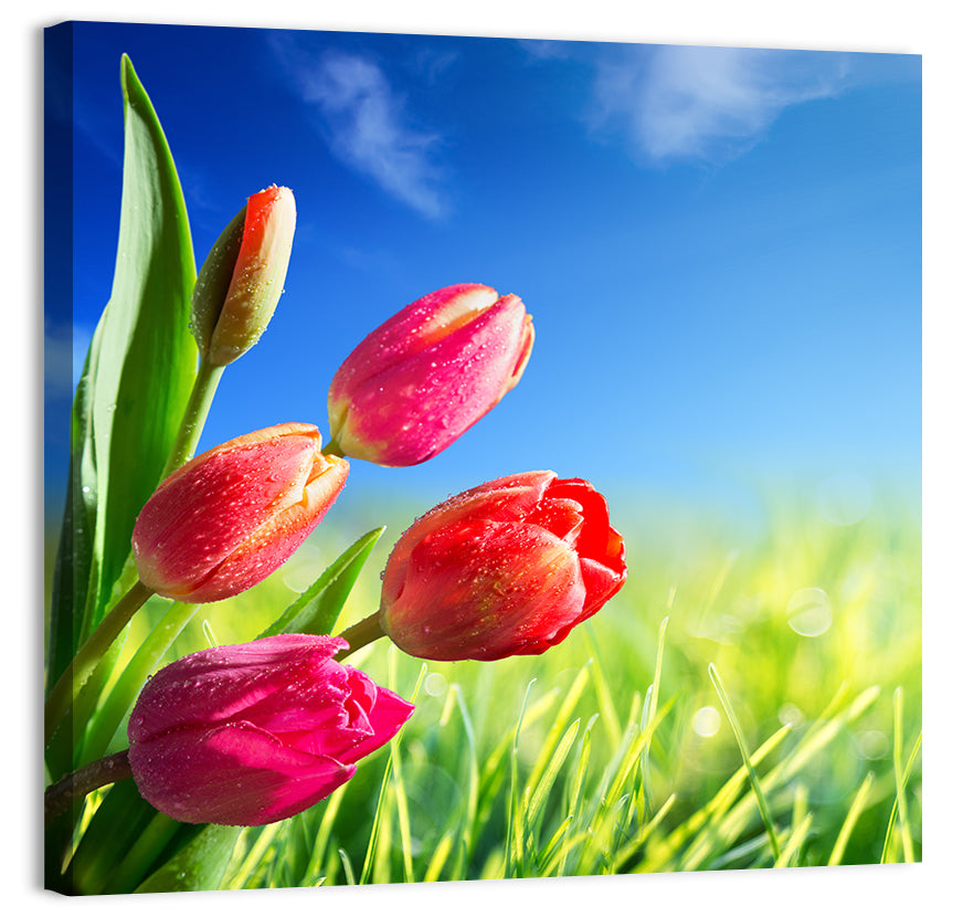 Tulips in Spring Wall Art