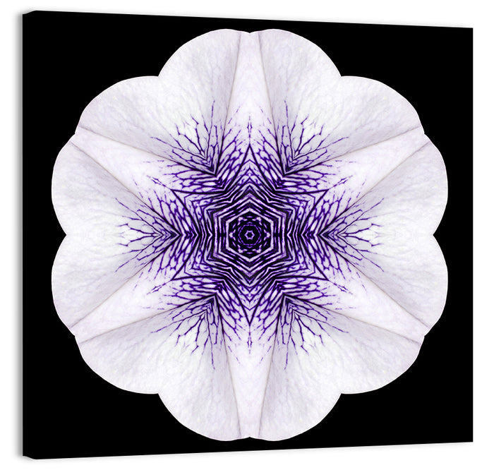 Purple Mandala Flower Kaleidoscope Wall Art as a canvas print