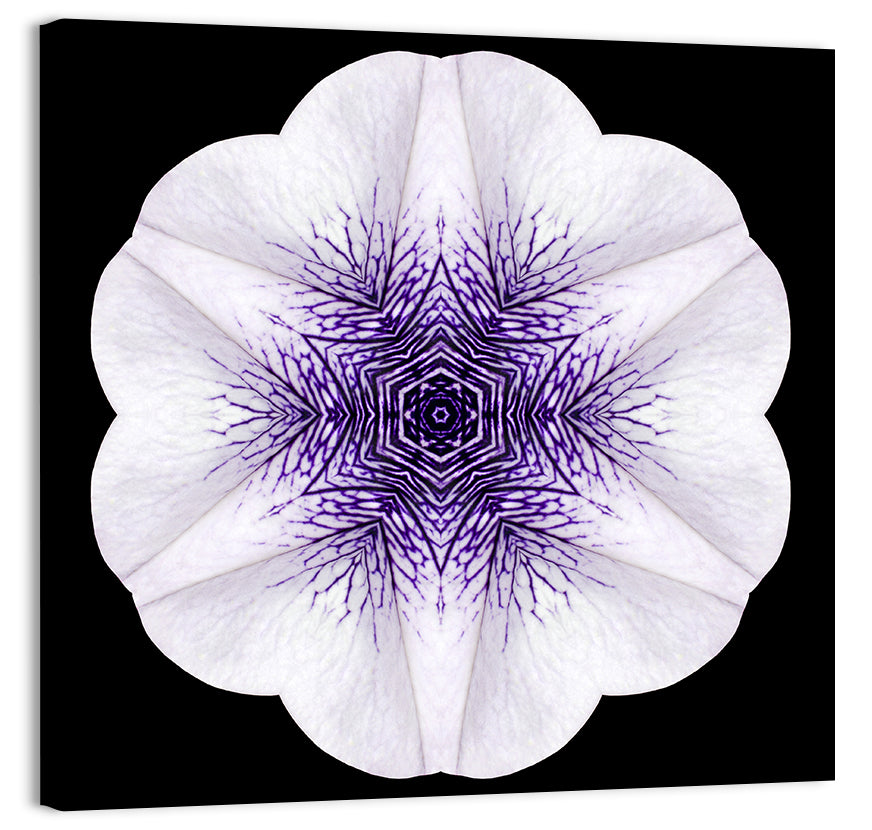 Circular Mandala Flower Wall Art