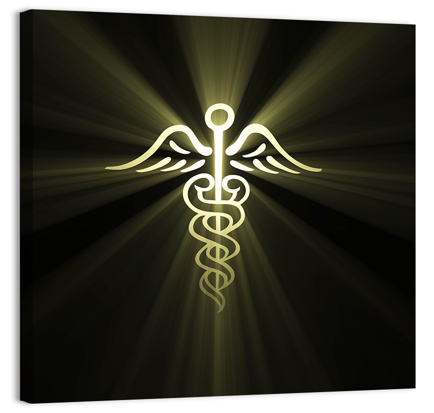 Medical Corps Caduceus Emblem Wall Art