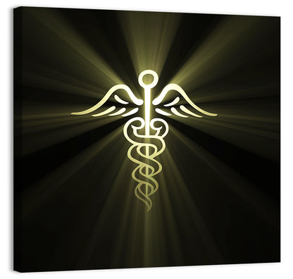 Medical Corps Caduceus Emblem Wall Art