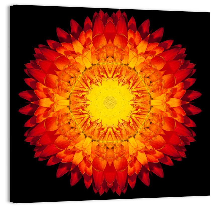 Radiant Red Kaleidoscopic Mandala Flower Wall Art