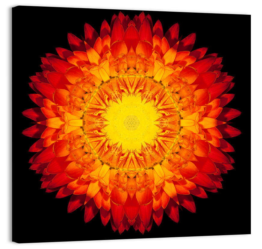 Red Mandala Flower Wall Art