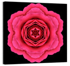 Magenta Rose Mandala Pattern Wall Art