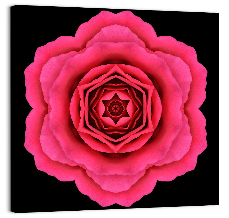 Magenta Rose Mandala Pattern Wall Art