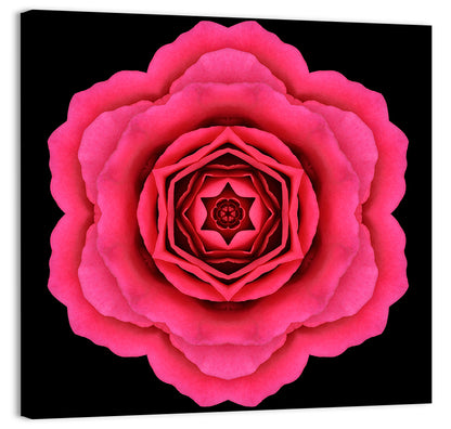Magenta Rose Mandala Pattern Wall Art