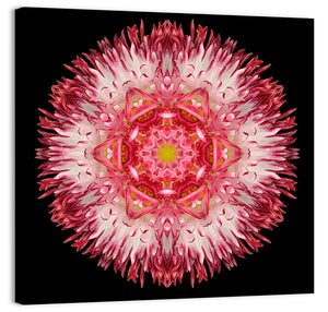 Star Shape Mandala Wall Art