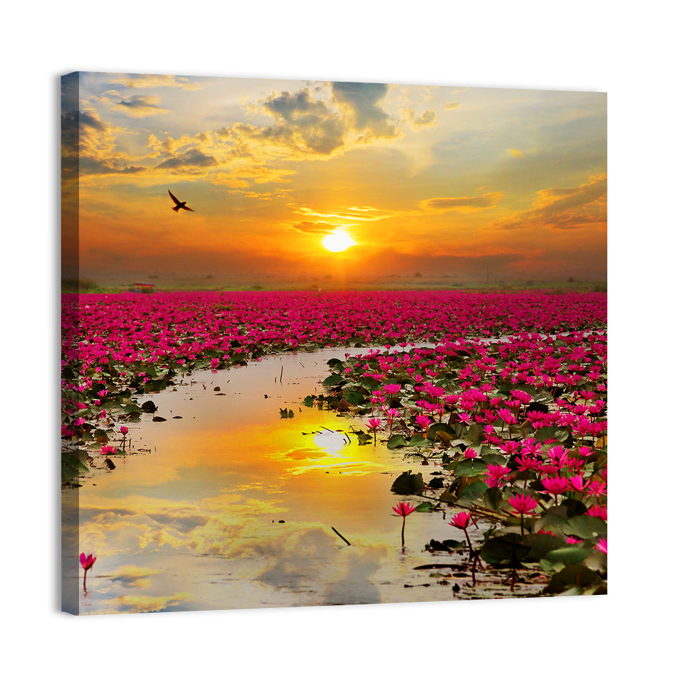 Golden Hour Lotus Field Wall Art