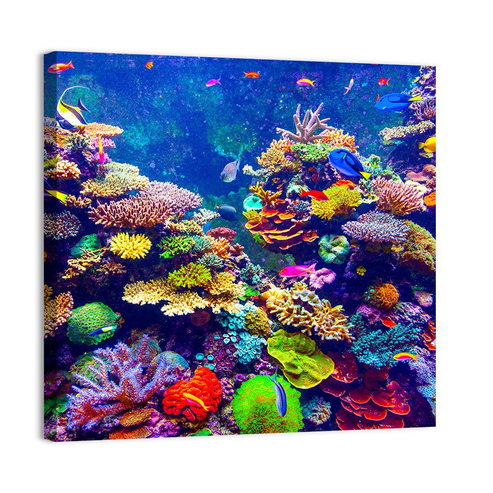 Tropical Coral Reef Aquarium Wall Art