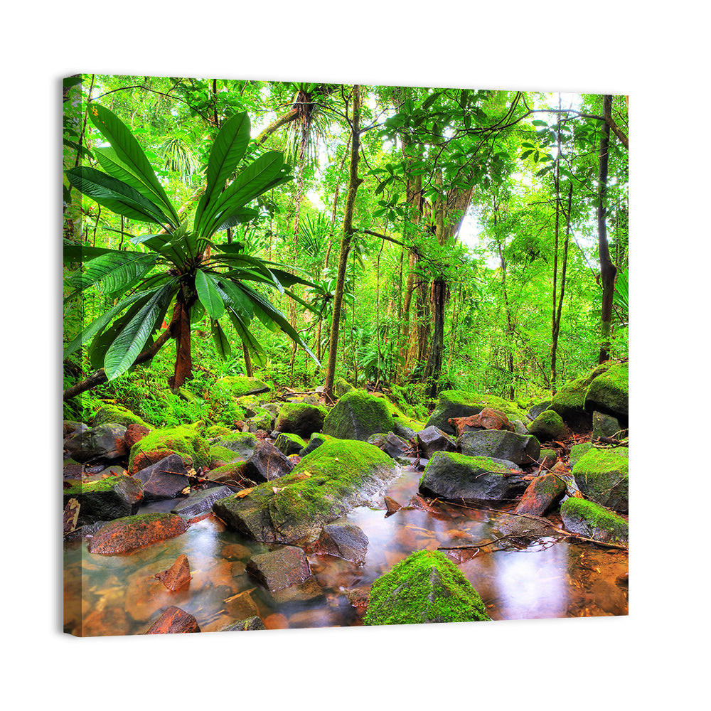Mossy Rainforest Stream Wall Art