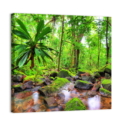 Mossy Rainforest Stream Wall Art