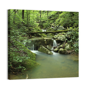 Arkansas Forest Stream Wall Art