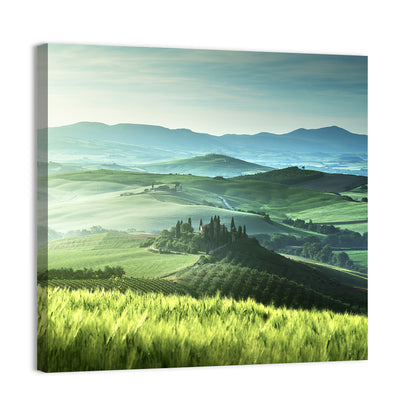 Misty Rolling Hills with Cypresses Wall Art