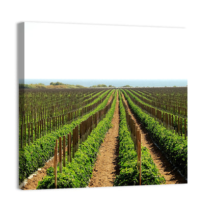 Tomato Fields Wall Art