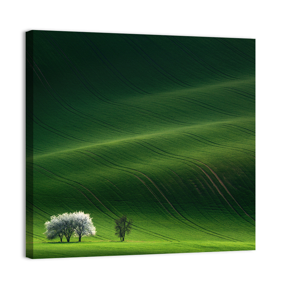 Lush Meadows Wall Art