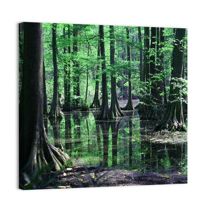 Congaree Swamp Reflection Wall Art