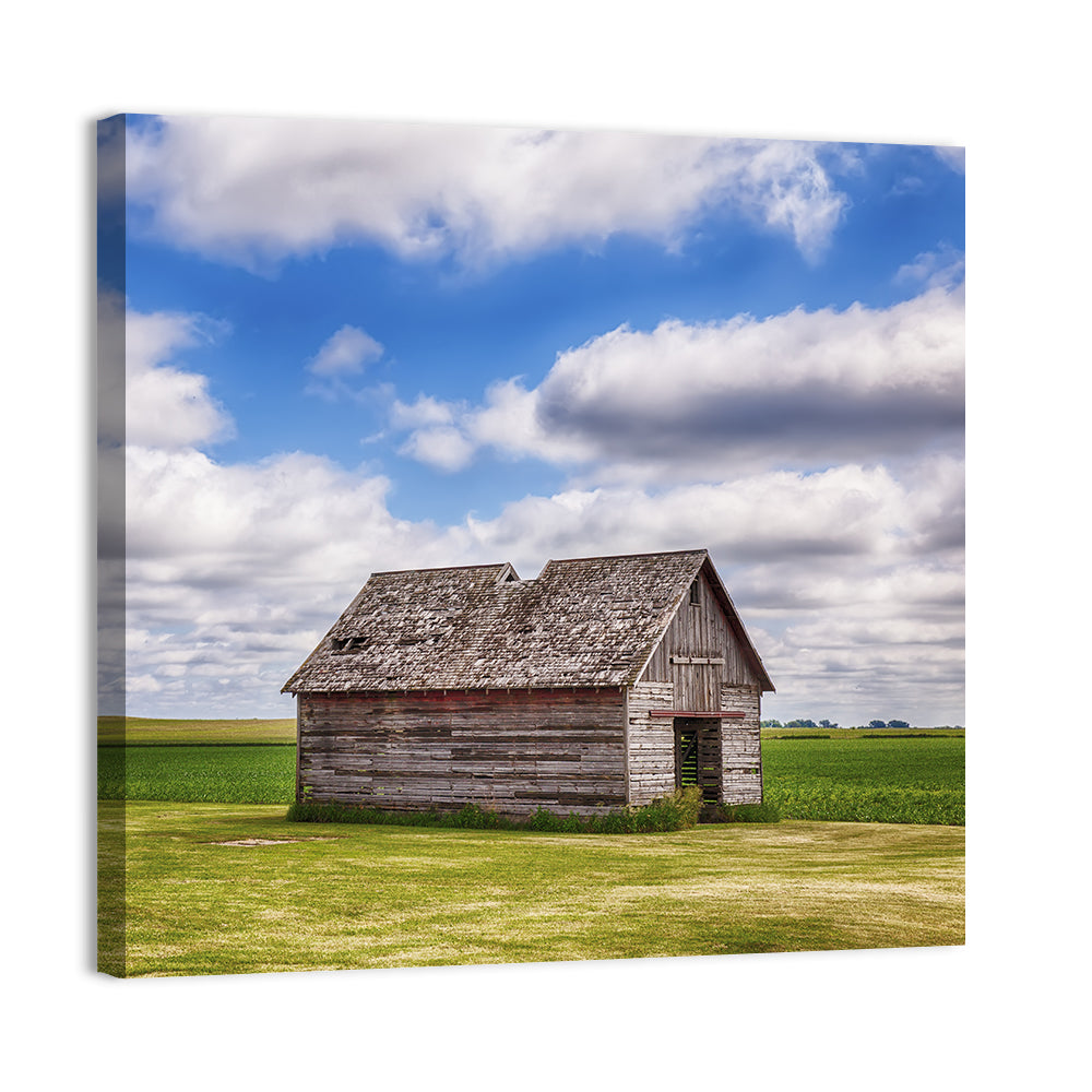 Old Farm Shed in Field Wall Art