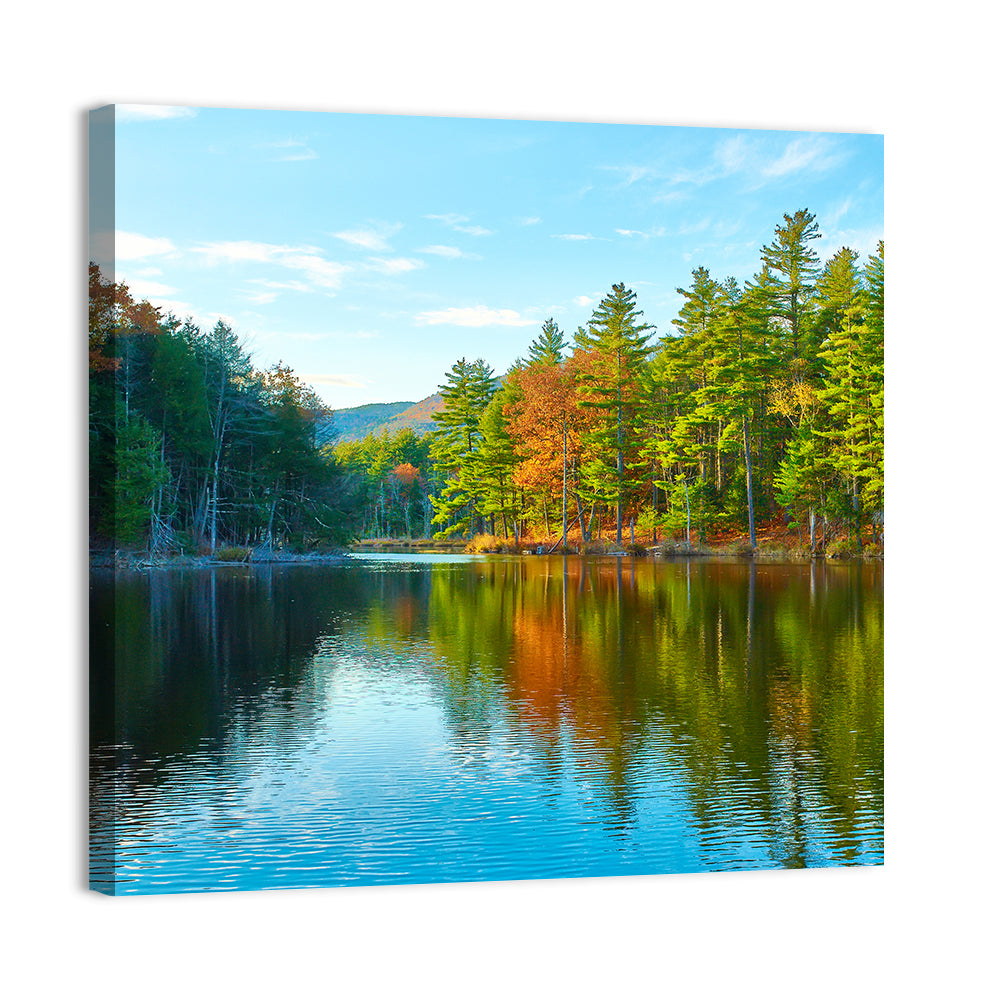 White Mountain Forest Reflections Wall Art