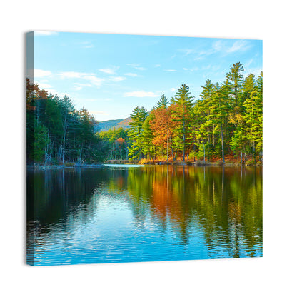 White Mountain Forest Reflections Wall Art