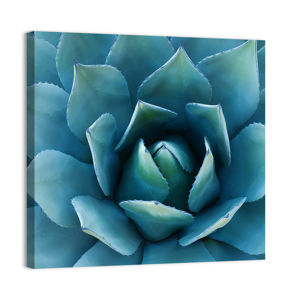 Spiral Agave Macro Wall Art