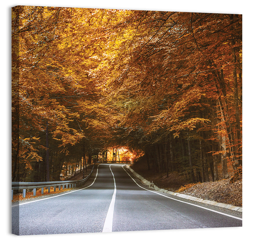 Autumn Forest Road with Canopy Wall Art