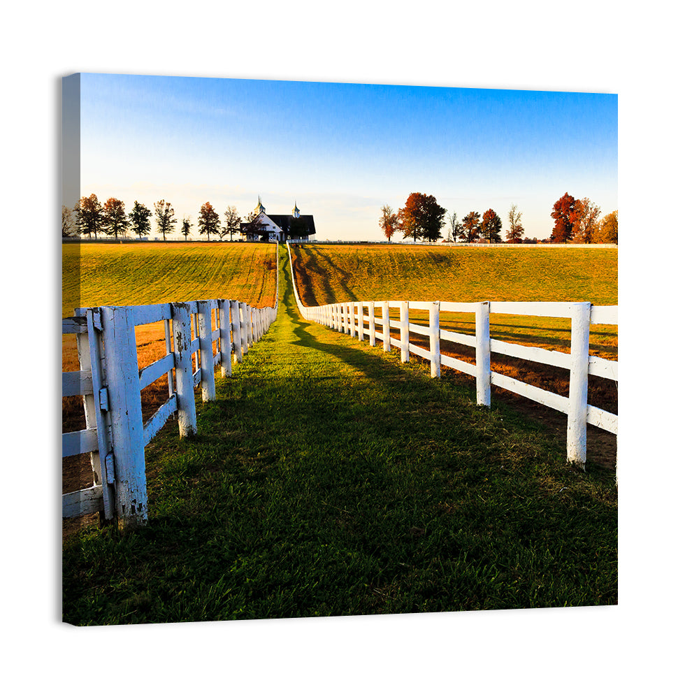 Kentucky Horse Farm at Golden Hour Wall Art, canvas print, square