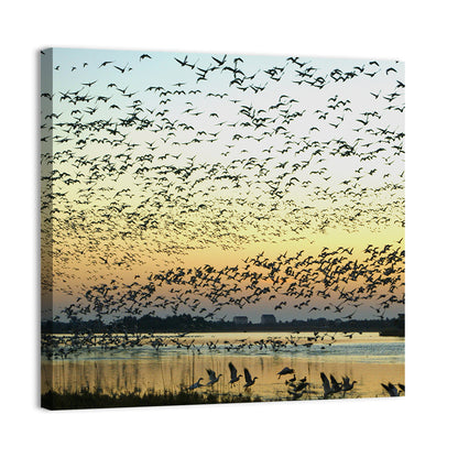 Snow Geese Over River Wall Art