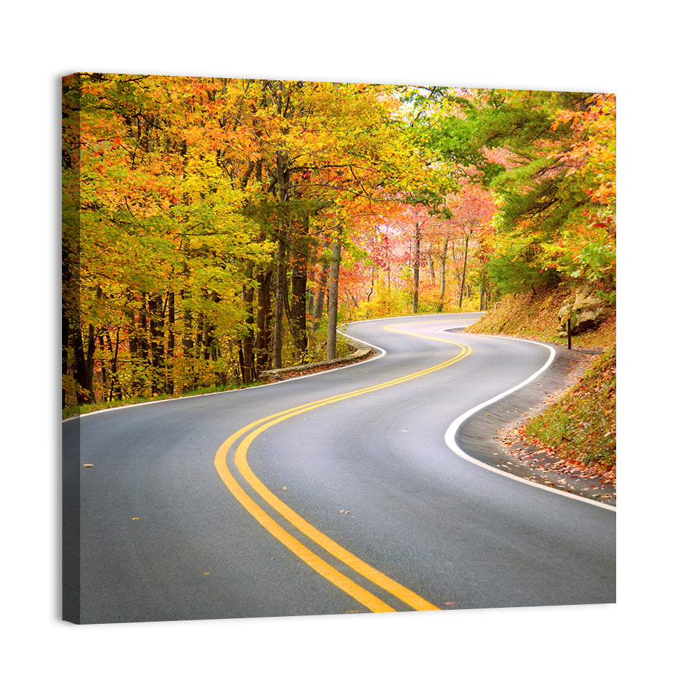 Winding Autumn Road Wall Art, canvas print, square