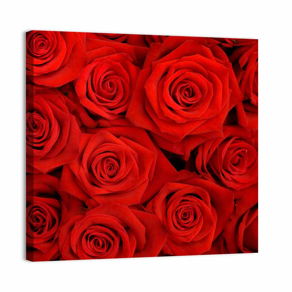 Red Roses Close Up Wall Art