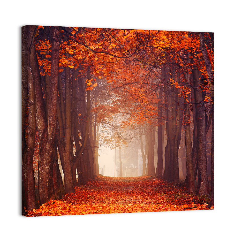 Misty Autumn Forest Path Wall Art
