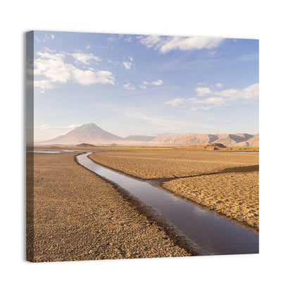 Lake Natron with Ol Doinyo Lengai Wall Art