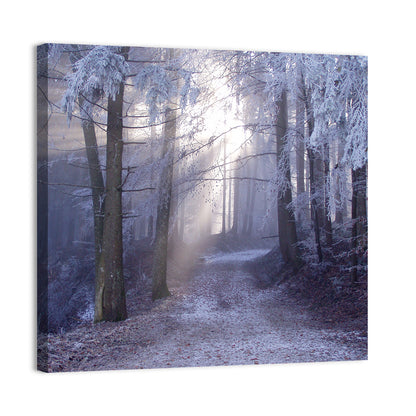 Snowy Forest Track Wall Art