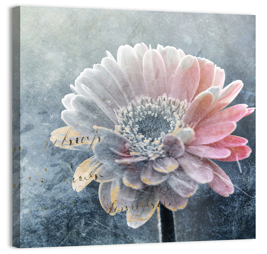 Winter Gerbera with Golden Script Wall Art