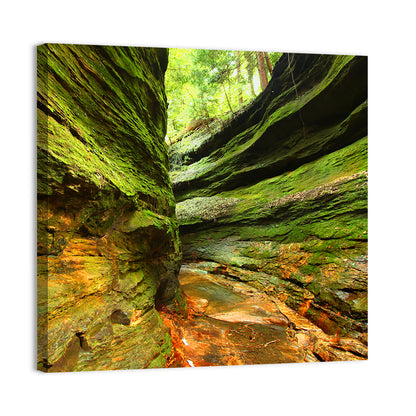 Turkey Run State Park Canyon Wall Art