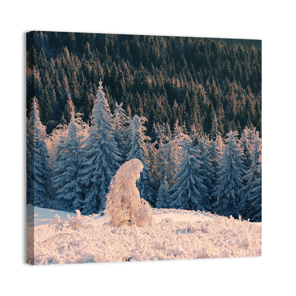 Carpathian Forest at Golden Hour Wall Art