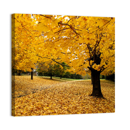 Baltimore Autumn Foliage Wall Art