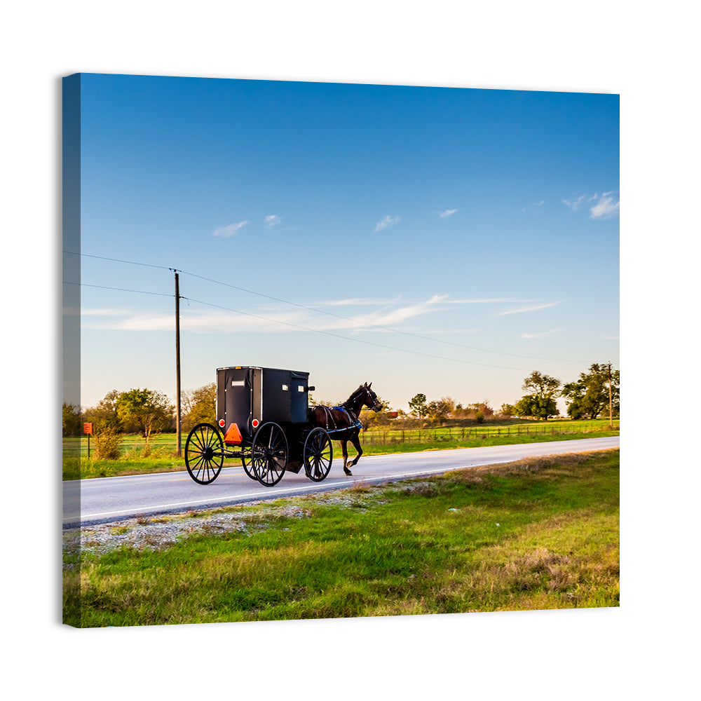 Amish Horse and Buggy, Oklahoma Wall Art